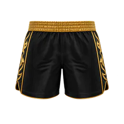Muay Thai Shorts thumbnail